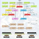 شیوه‌نامه و چارت آموزشی فدراسیون کوه‌نوردی و صعودهای ورزشی