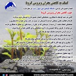 کمک به کاهش بحران ویروس کرونا